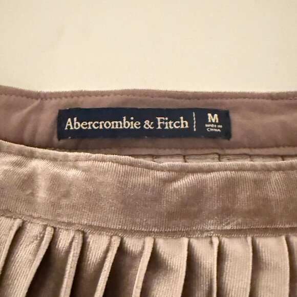 Abercrombie & Fitch Velvet Pleated Midi Skirt Size Medium Taupe Brown Elegant - Picture 5 of 9